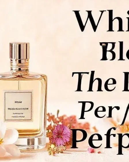 Qual perfume the blend e melhor?